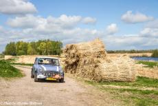 Stuyvesant Tour - Stuyvesant Mini Tour 2017: Driving through the Weerribben-Wieden in our own lavender blue coloured Mini Authi. The...