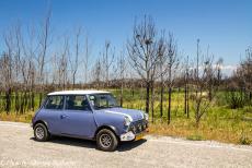 Portugal - Classic Car Road Trip Portugal: Van Praia de Mira vervolgden we onze road trip naar Nazaré. In onze classic Mini reden we door bossen, die...