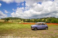 Portugal - Classic Car Road Trip Portugal: We reden in onze Mini Authi door de Montado langs velden met uitbundig bloeiende klaprozen. De...