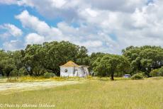 Portugal - Classic Car Road Trip Portugal: The Mini Authi near the Anta-Capela de São Brissos, located in the landscape of...