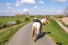 Herdenking Operation Quick Anger 2019 - Herdenking Operation Quick Anger 2019:&nbsp;Tijdens de herdenkingsrit van&nbsp;Operation Quick Anger liep een extreem nerveus paard met zijn...