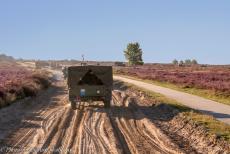 75 jaar na de Slag om Arnhem - Classic Car Road Trip: Een konvooi van voertuigen uit WOII rijdt 75 jaar na de Slag om Arnhem naar de herdenkingen op de Ginkelse Heide bij...