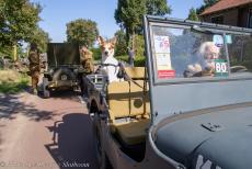 80th anniversary of the Battle of Arnhem - The 80th anniversary of the Battle of Arnhem: Our dog Jussi sitting in the back seat of our own Ford GPW Jeep. The Telefoonweg near Renkum Heath... 80th anniversary of the Battle of Arnhem - The 80th anniversary of the Battle of Arnhem: Our dog Jussi sitting in the back seat of our own Ford GPW Jeep. The Telefoonweg near Renkum Heath...