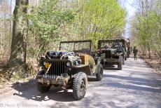 Commemoration Operation Quick Anger 2025 - Commemoration Operation Quick Anger 2025: A WWII Ford GPW British Airborne Jeep, for instance recognisable by the cut down front bumper and...